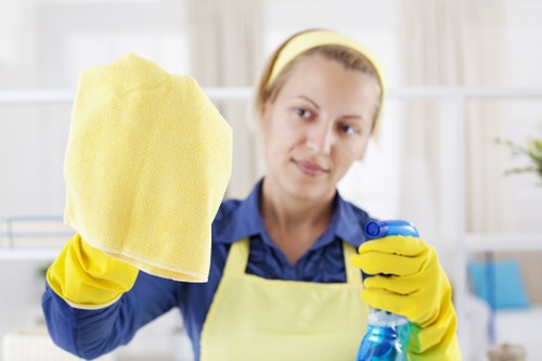 Professional house cleaning service for Canary Wharf apartments and modern flats