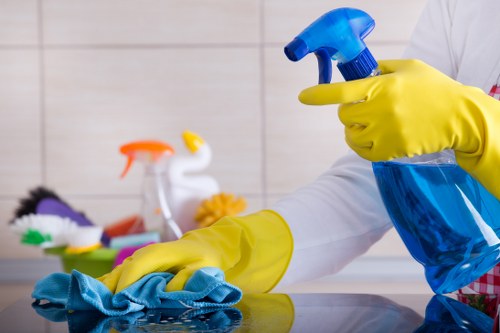 Domestic cleaning service for a modern apartment in Canary Wharf