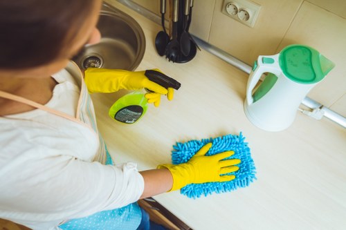 Deep cleaning equipment used for pet odour removal