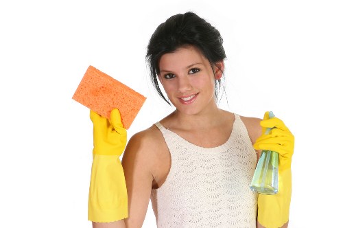 Checklist and cleaning supplies for a property move out clean