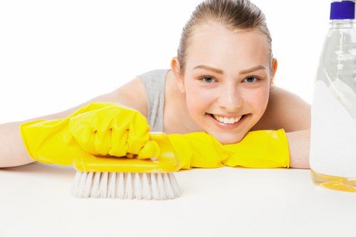 Regular home cleaning for busy residents in Canary Wharf