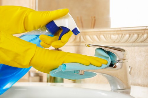 Cleaner servicing a riverside apartment near Canary Wharf with attention to detail