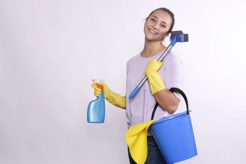 Canary Wharf window cleaning for apartments, offices, and mixed-use developments