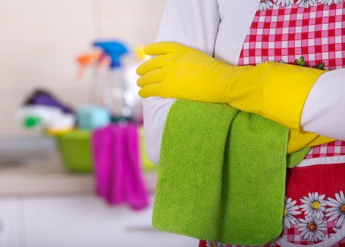 Steam cleaning service for carpets in a Canary Wharf residential property
